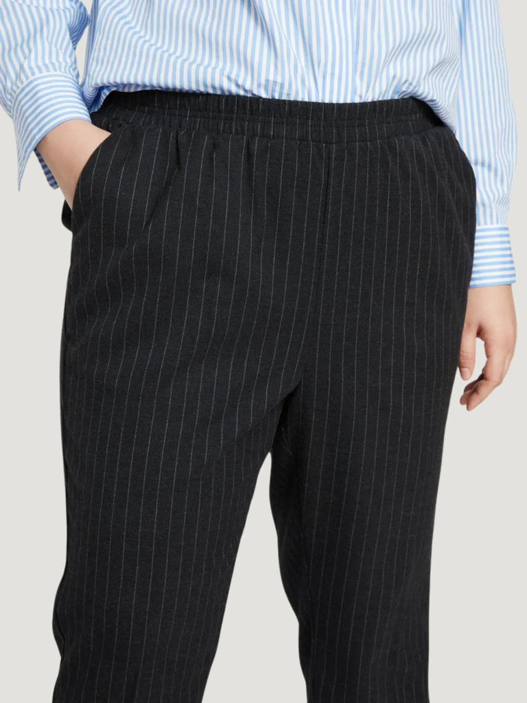 Universal Standard The Pinstripe Pant